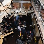 TMS 6812 resize Találkozz a WordPress fejlesztőivel - képek