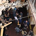 TMS 6813 resize Találkozz a WordPress fejlesztőivel - képek