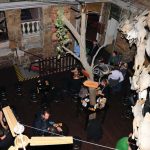 TMS 6816 resize Találkozz a WordPress fejlesztőivel - képek