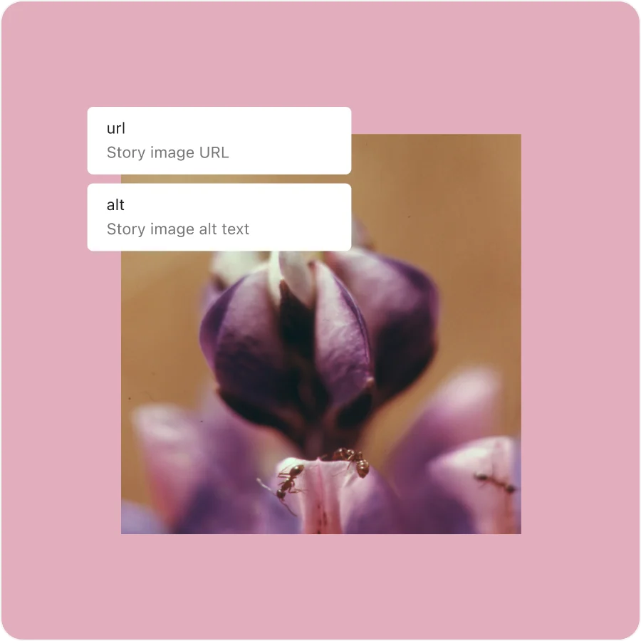 feature block bindings 2 Itt a WordPress 6.7 “Rollins”