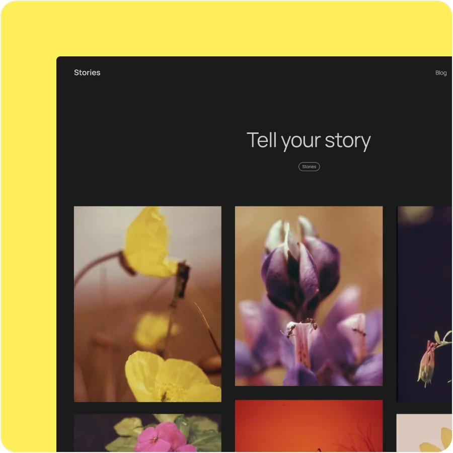 feature tt5 2 Itt a WordPress 6.7 “Rollins”