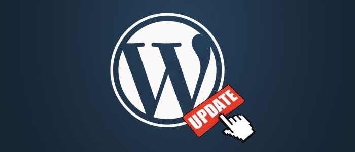Biztonsági frissítés,  4.6.1 WordPress